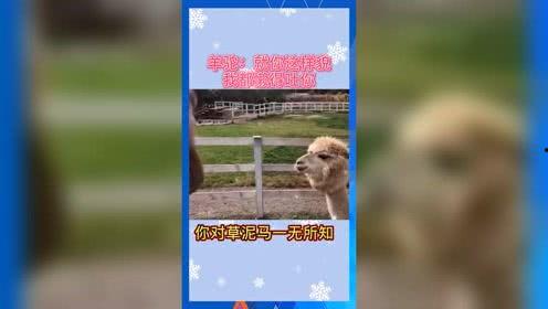 娱乐吃瓜的小花